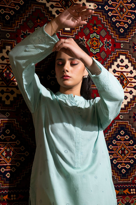Embroidered Kurta - 2554