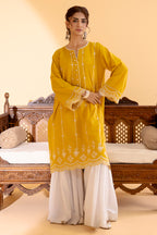 Embroidered Kurta - 2555