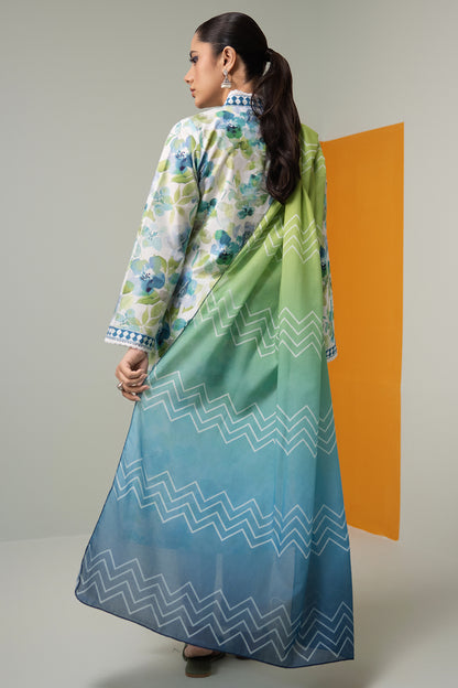 Kurta Dupatta - 1546