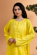 Embroidered Kurta Trouser - 1690