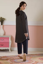Embroidered Kurta Trouser - 1694