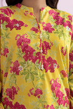 Embroidered Kurta Trouser - 1922