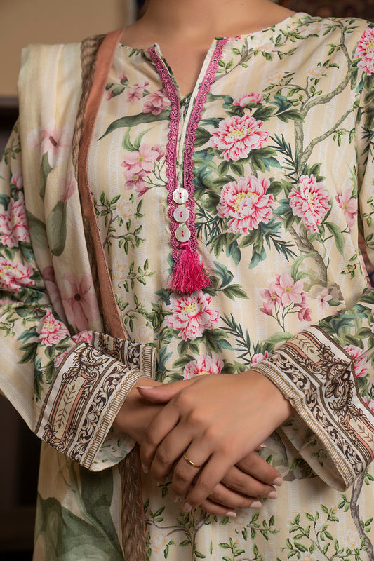 Kurta Dupatta - 1967