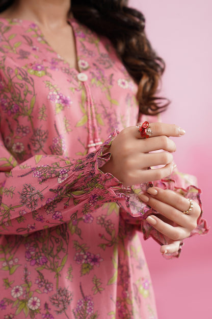 Kurta Trouser - 2013