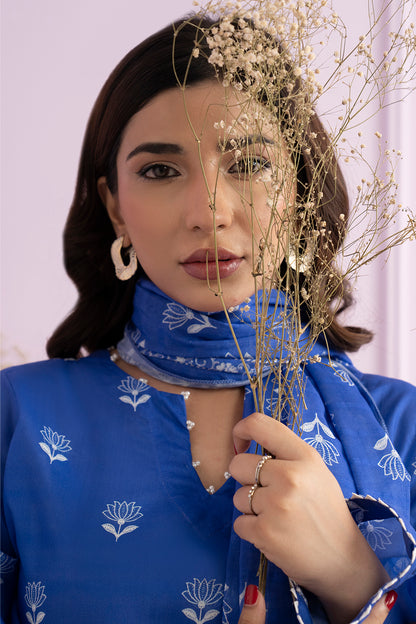 Embroidered Kurta Dupatta - 2040
