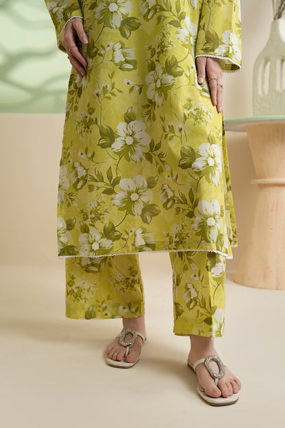Embroidered Kurta Trouser - 2187