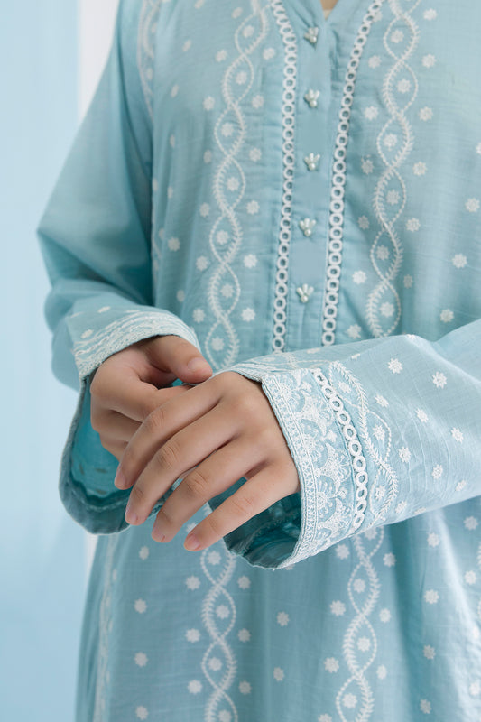 Embroidered Kurta Trouser - 2502