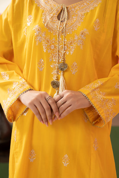 Embroidered Kurta Dupatta Trouser - 1631