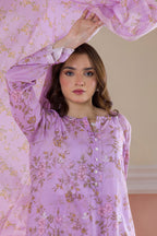 Embroidered Kurta Dupatta Trouser - 2022