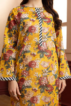 Kurta - 1902