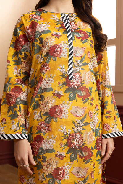 Kurta - 1902