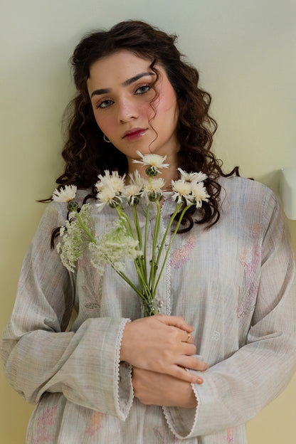 Embroidered Kurta - 2010