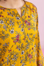 Kurta - 2221