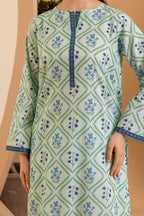 Kurta - 2228