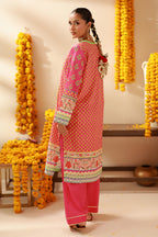 Kurta Trouser - 2014