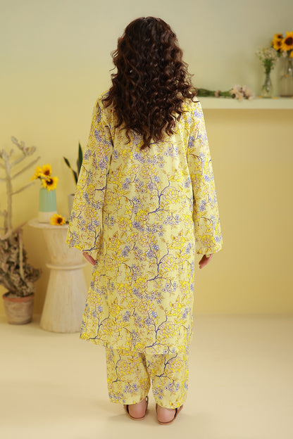 Kurta Trouser - 2062