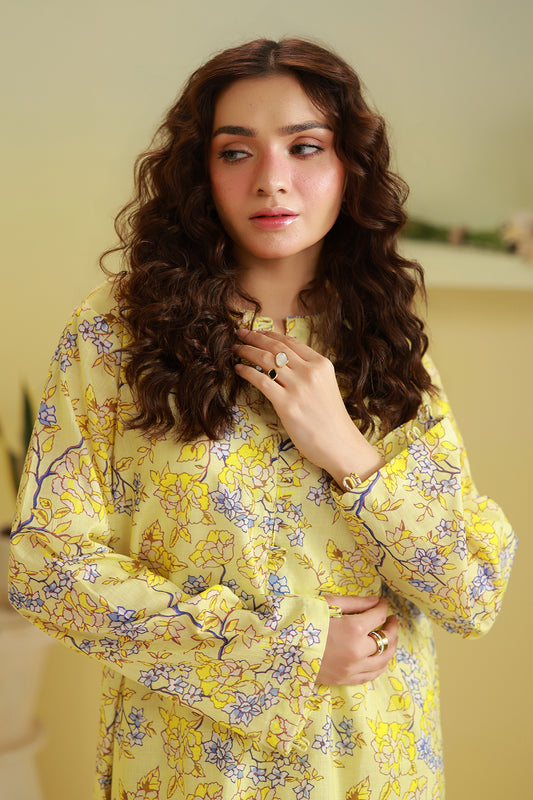 Kurta Trouser - 2062