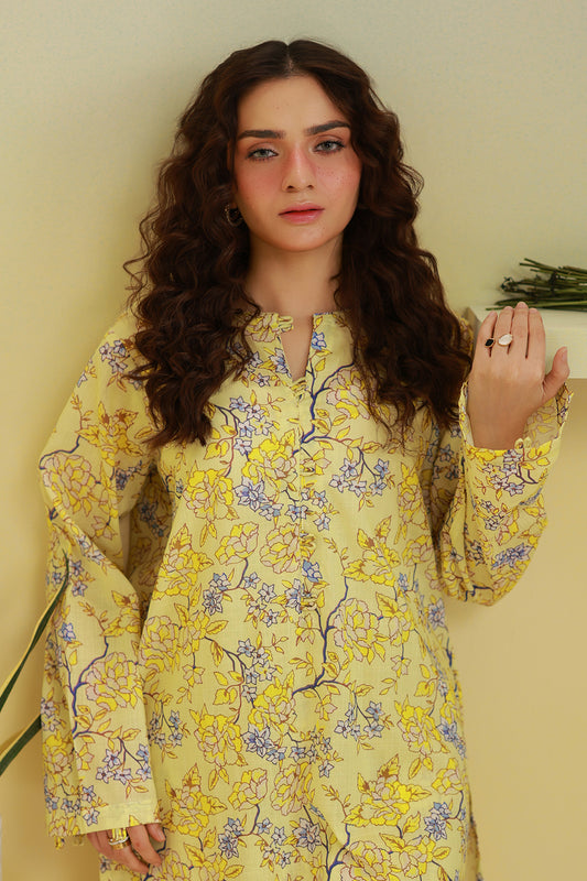 Kurta Trouser - 2062