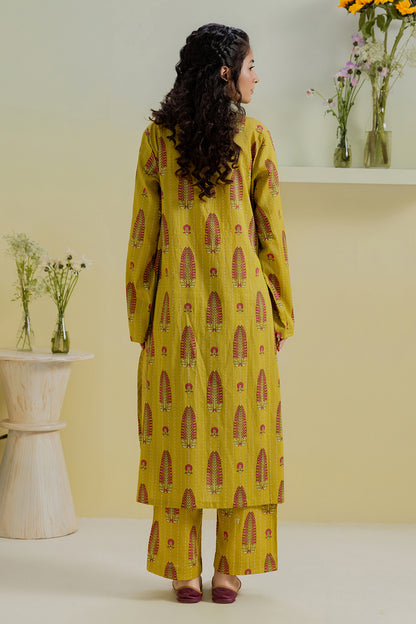 Kurta Trouser - 2066
