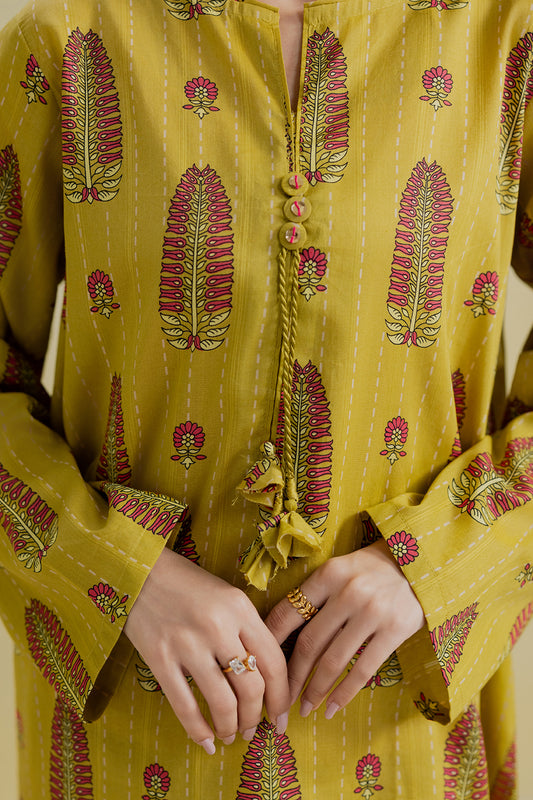 Kurta Trouser - 2066