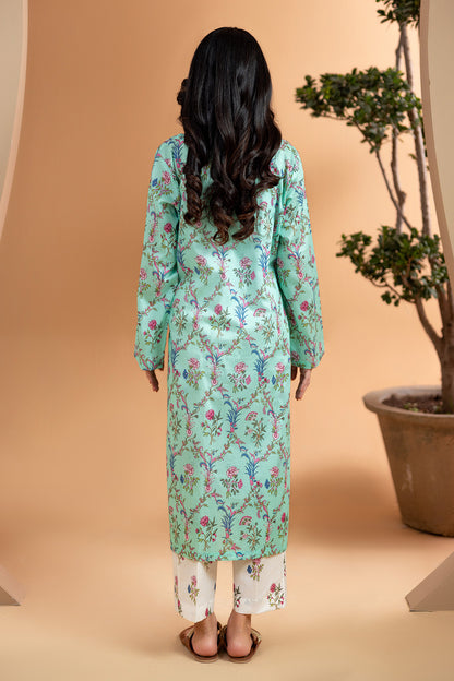 Kurta Trouser - 2072