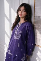 Embroidered Kurta Trouser - 2637