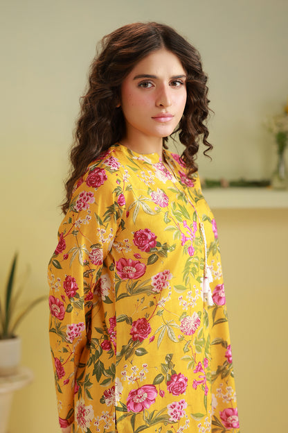 Kurta Trouser - 3087