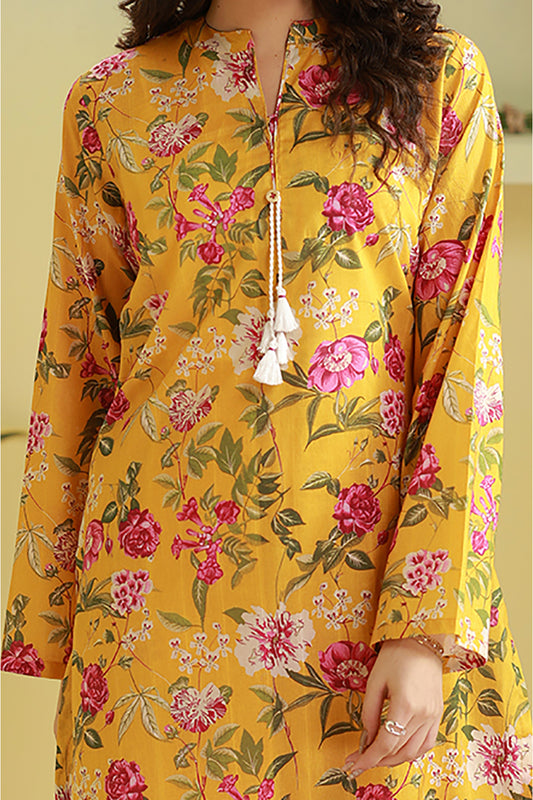 Kurta Trouser - 3087