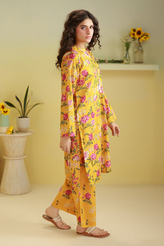 Kurta Trouser - 3087