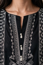 Embroidered Kurta Trouser - 3228