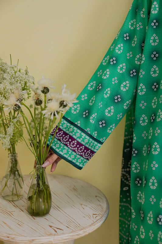 Kurta Dupatta Trouser - 2162