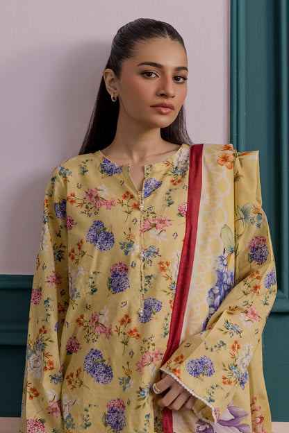 Kurta Dupatta - 2167