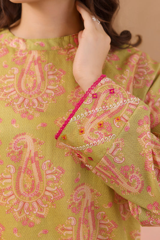 Embroidered Kurta - 3050