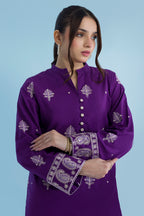 Embroidered Kurta Trouser - 2938