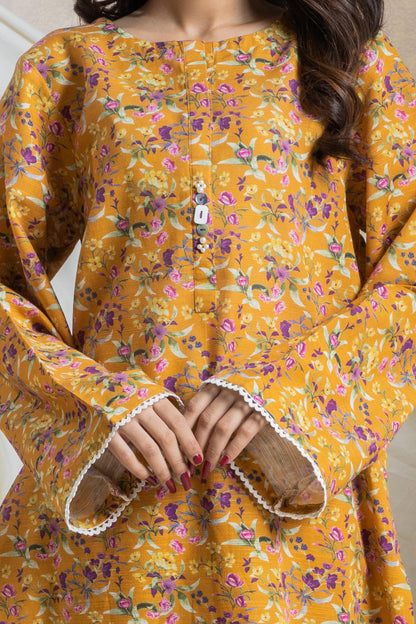 Kurta Trouser - 2992