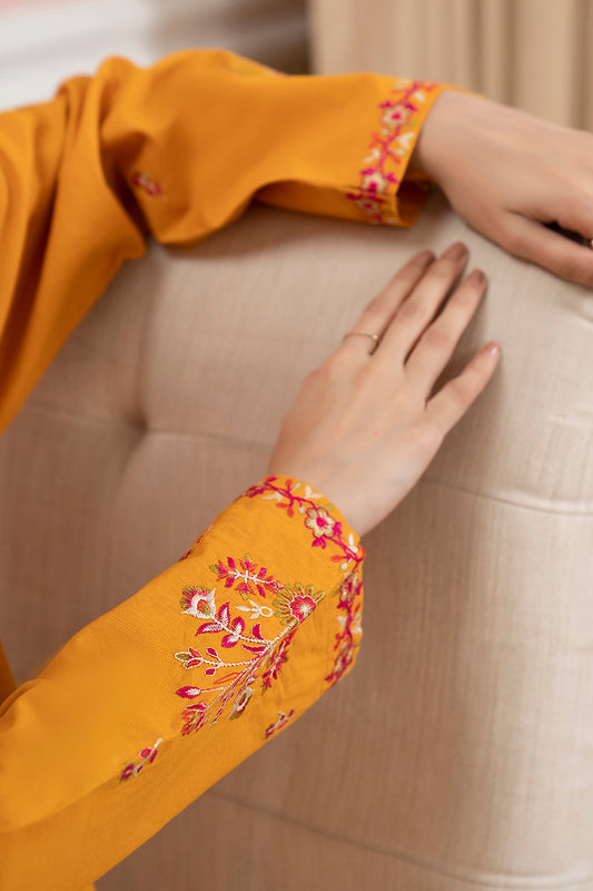 Embroidered Kurta Trouser - 3037