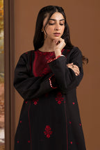 Embroidered Kurta Trouser - 3038