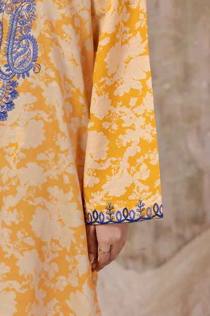 Embroidered Kurta Trouser - 3087
