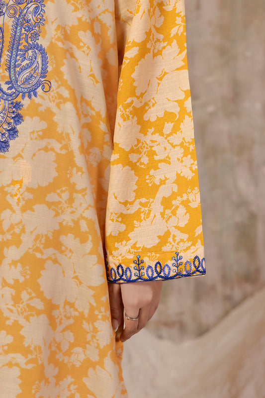 Embroidered Kurta Trouser - 3087