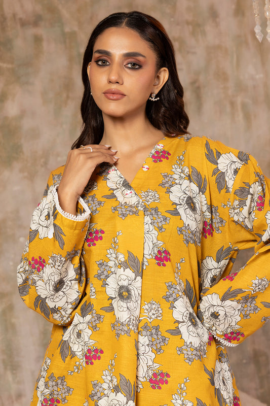 Kurta Trouser - 3138