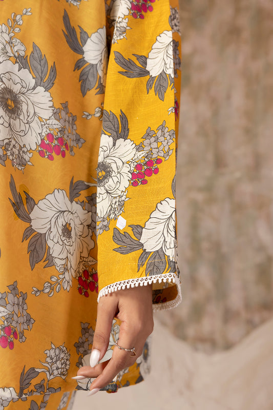 Kurta Trouser - 3138
