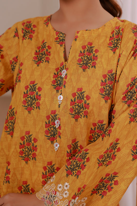 Embroidered Kurta Trouser - 3150