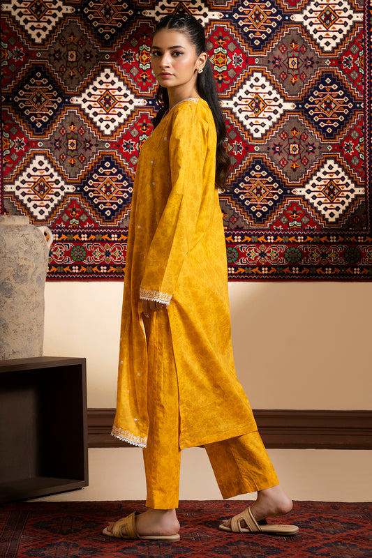 Embroidered Kurta Trouser - 1920