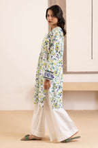 Kurta - 2648