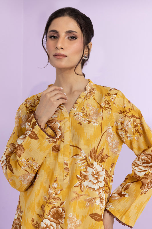 Kurta - 2649