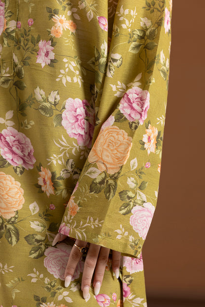 Kurta - 2713