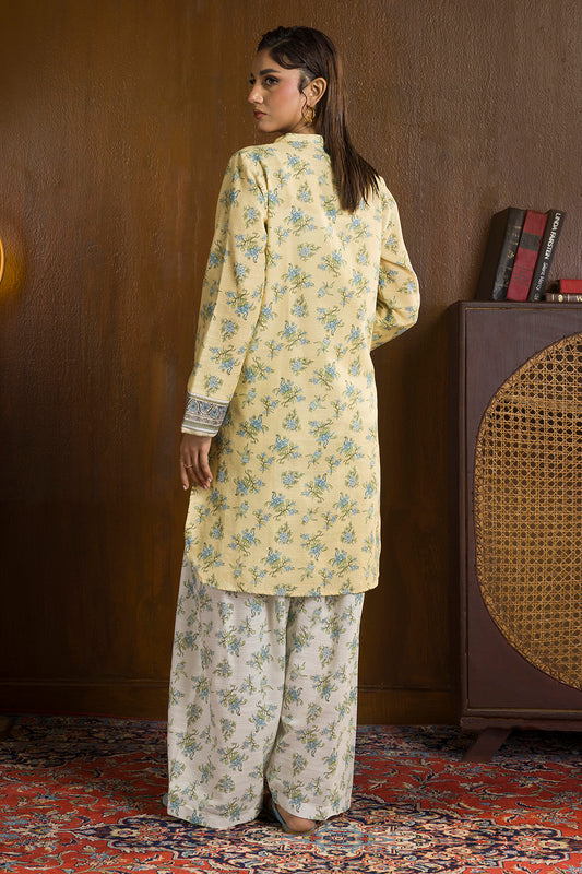 Kurta Trouser - 2691