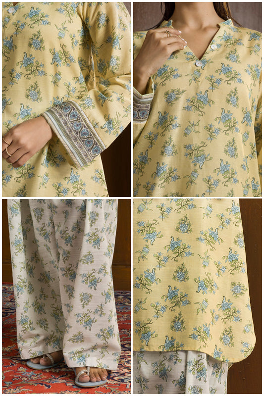 Kurta Trouser - 2691