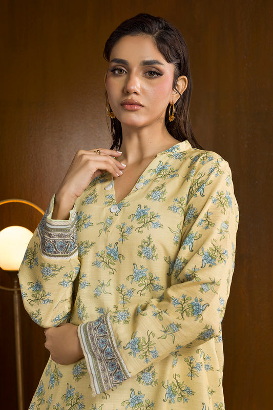 Kurta Trouser - 2691