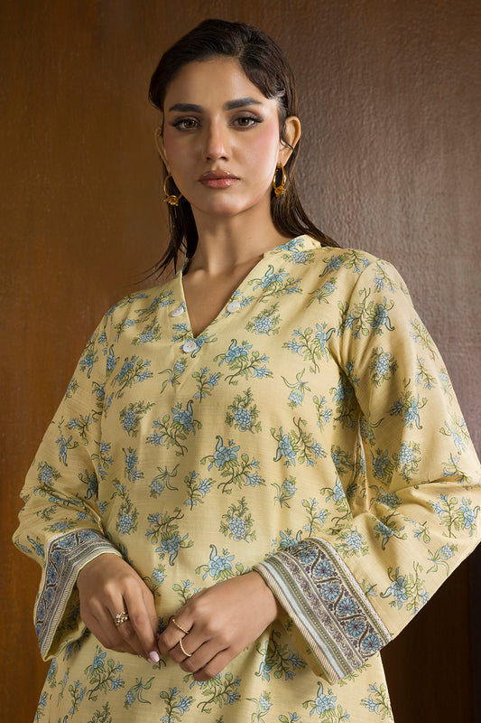 Kurta Trouser - 2691